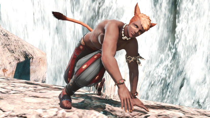 A glimpse into the past